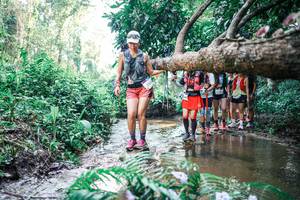 BIB: 
                            <button type="button" onclick="openModal(25467636)" class="btn btn-primary btn-sm float-right btn-popup" data-toggle="modal" data-target=".modal-high-quality">
                        <i class="fas fa-shopping-cart"></i> Add to Cart
                    </button>
                                            <button type="button" onclick="isThisMe(25467636, true)" class="btn btn-success btn-sm float-right btn-popup btn-isme hidden" data-toggle="tooltip" data-placement="bottom" title="นี่คือรูปของคุณใช่ไหม คลิกที่นี่เพื่อเอาเข้าอัลบั้ม">
                        <i class="fas fa-plus"></i> Add to album
                    </button>
                    <button type="button" onclick="isThisMe(25467636, false)" class="btn btn-warning btn-sm float-right btn-popup btn-isnotme hidden">
                        <i class="fas fa-ban"></i> Remove from album
                    </button>